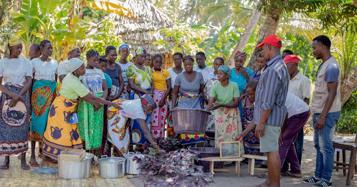 Notícia OFEC: Coordenador da OFEC Destaca Compromisso com a Inclusão Financeira e Desenvolvimento Rural em Entrevista à Rádio Moçambique